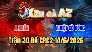 Trận 30 CPC2 14/6/2026: Điều Đứng Chịu Đòn Bướm Đá Chán Bỏ Đi Thua Đau