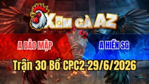 Trận 30 Bồ CPC2 29/6/2026 - Gà Idol Quá Hay Khôn Khét Cánh Đá Cây Điều Hết Sửa