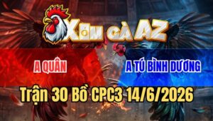 Trận 30 CPC3 14/6/2026: Bướm Đá Đúng 3 Chân Đâm Điều Lật Xe Nhanh Gọn