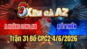 Trận 31 CPC2 4/6/2026: Điều Chân Xanh Đâm Gà Cú Bại Liệt Tứ Chi