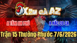 Trận 15 Thường Phước 7/6/2026