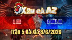 Trận 5 Bồ Xà Xía 8/6/2026
