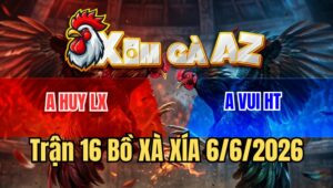 Trận 16 Xà Xía 6/6/2026
