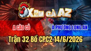 Trận 32 CPC2 15/6/2026: Điều Đâm Như Cái Máy Bướm Đút Vô Hết Đường Ra