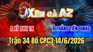 Trận 34 CPC3 14/6/2026: Bướm Đâm Như Cái Máy, Chuối Gục Trên Biển Máu