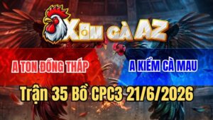 Trận 35 CPC3 21/6/2026: Gà Xám Anh Kiểm Đâm Gãy Giò Gà Úa Anh Ton