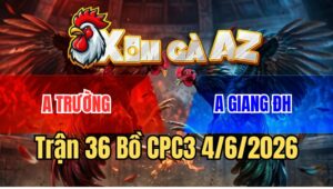 Trận 36 CPC3 4/6/2026