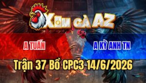 Trận 37 CPC3 14/6/2026: Bướm Quá Trâu Gồng Đá Điều Gục Đầu Phút 90
