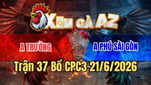 Trận 37 CPC3 21/6/2026: Gà Úa Đâm Lọt Mu Lưng Xanh Que Té Cắm Đầu