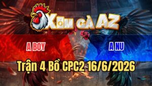 Trận 4 CPC2 16/6/2026: Điều Canh Chặn Đá Bướm Lọt Cây Hiểm Chạy Bay Bồ