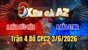 Trận 4 CPC2 3/6/2026: Úa Cọp Bảo Sting Đâm Điều Không Sót Chân