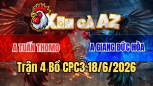 Trận 4 CPC3 18/6/2026: Điều Đá Mấy Chân Đâm Gà Trọc Cổ Chạy Mất Dép
