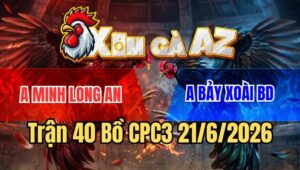 Trận 40 CPC3 21/6/2026: Bướm Má Minh Chết Hụt Gồng Tang Hòa Đẳng Cấp