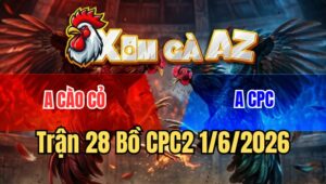 Trận 28 CPC2 1/6/2026