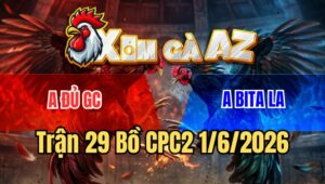 Trận 29 CPC2 1/6/2026