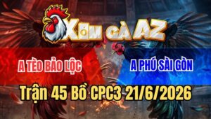 Trận 45 CPC3 21/6/2026: Điều Cọp Anh Tèo Đâm Úa Ói Tiền Nhanh Gọn