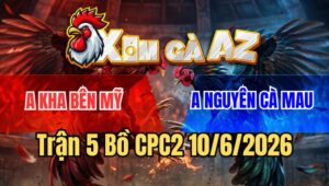 Trận 5 CPC2 10/6/2026: Bướm Canh Chặn Hay Đâm Khét Không Có Đường Ra