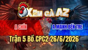 Trận 5 CPC2 26/6/2026: Xanh Đâm Cựa Dã Man Khiến Đỏ Bung Chạy Giữ Mạng