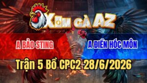 Trận 5 CPC2 28/6/2026: Cú Bảo Sting Đá Chân Tử Thần Bẻ Gãy Giò Gà Bướm