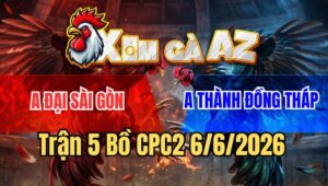 Trận 5 CPC2 6/6/2026: Điều Đâm Quá Tịch, Gà Cú Lọt Bể Mình Bung Chạy