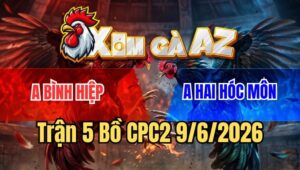 Trận 5 CPC2 9/6/2026: Gà Cú Sẩy Chân, Xanh Chớp Thời Cơ Đâm Gãy Cổ