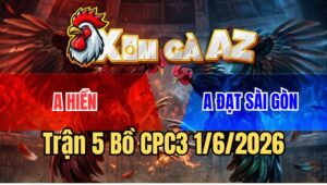 Trận 5 CPC3 1/6/2026: Bướm Né Đâm Tịch, Đối Thủ Ngấm Đòn Gục Ngã Từ Từ