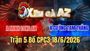Trận 5 CPC3 18/6/2026: Úa Nhét Mấy Chân Điều Ói Chết Rinh Ra Nhanh Gọn