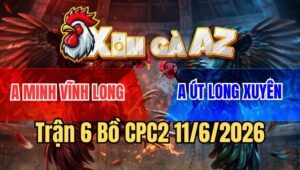 Trận 6 CPC2 11/6/2026: Gà Điều Đá Chân Quá Rát, Vừa Vô Là Có Kết Quả