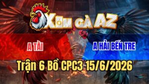 Trận 6 CPC3 15/6/2026: Điều Ra Đá 1 Hơi Bướm Nằm Xòe Cánh Hết Cứu