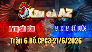 Trận 6 CPC3 21/6/2026: Úa Nuốt Ói Gồng Đá Điều Lọt Xỉu Hư Chân Thua