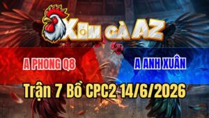 Trận 7 CPC2 14/6/2026: Xanh Tải Cựa Quá Hay, Đỏ Kiệt Sức Gục Ngã