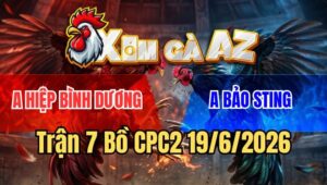 Trận 7 CPC2 19/6/2026: Điều Đá Quá Đâm Xám Bị Dính Mấy Cây Hư Bỏ Chạy