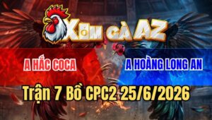 Trận 7 CPC2 25/6/2026: Điêu Đâm Gà Úa Anh Hắc Lìa Giò Trong 1 Nốt Nhạc