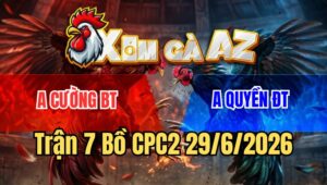 Trận 7 Bồ CPC2 29/6/2026 - Úa Chân Xanh Đá Đâm Như Chỉa Siết Mấy Chân Điều Té Tại Ô