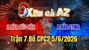 Trận 7 CPC2 5/6/2026: Úa Bảo Sting Kém 4 Chấm, Chồng Độ Bị Đá Banh Xác