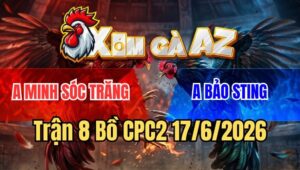 Trận 8 CPC2 17/6/2026: Chuối Quá Trâu Gà Bông Bảo Sting Đâm Không Thấm