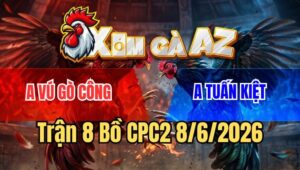 Trận 8 CPC2 8/6/2026: Xám Đâm Lọt Hang Cua Bướm Té Nằm Một Đống