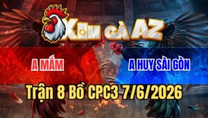 Trận 8 CPC3 7/6/2026: Gà Que Anh Huy Đâm Bể Lưng Gà Que Anh Mắm