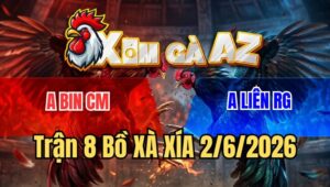 Trận 8 Xà Xía 2/6/2026: Bướm Anh Liên Đá Chạy Xe Và Cái Kết Chạy Luôn