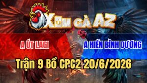 Trận 9 CPC2 20/6/2026: Điều Cọp Anh Hiền Đá Toàn Đâm Đầu Cần
