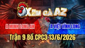 Trận 9 CPC3 13/6/2026: Camelo Đá Lọt Cây Quá Nặng Bướm Tốc Chạy Bay Bồ