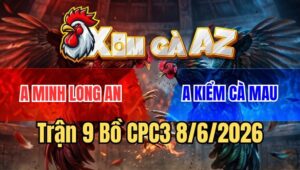 Trận 9 CPC3 8/6/2026: Úa Anh Kiểm Chồng Độ Chấp 7 Chấm, Để Lại Xổ 300