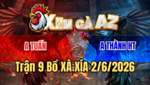 Trận 9 Xà Xía 2/6/2026: Cú Nạp Cây Lưng Điều Xanh Cứng Mình Bỏ Chạy
