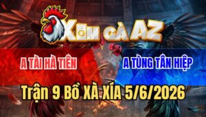 Trận 9 Xà Xía 5/6/2026: Bông Canh Chặn Mấy Cây Gà Điều Tang Nặng