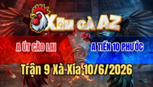 Trận 9 Xà Xía 10/6/2026: Đỏ Bươi Chà Như Cái Máy Xanh Ói Chết Tại Mức
