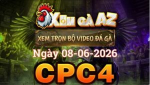 Xem Full Video Đá Gà CPC4 Ngày 08/06/2026
