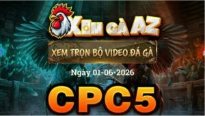 Xem Full Video Đá Gà CPC5 Ngày 01/06/2026