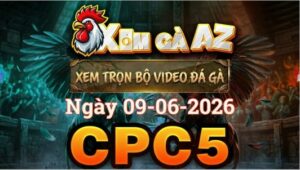 Xem Full Video Đá Gà CPC5 Ngày 09/06/2026