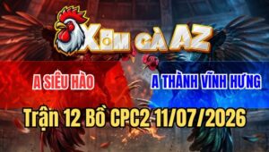 Trận 12 CPC2 11/7/2026: Bướm Hiệu Anh Siêu Hào Dỡ Giò Là Có Kết Quả