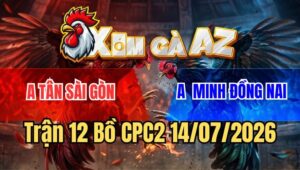 Trận 12 CPC2 14/7/2026: Gà Cú Nhấp Nhẹ Mấy Chân Camelo Chạy Bay Bồ